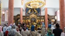 DSC02247.jpg